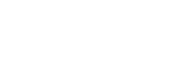 Odoo & ERP Implementation